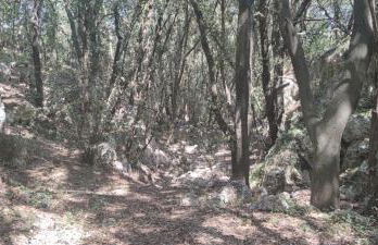 Country house with view on Syracusae gulf - Foto 18