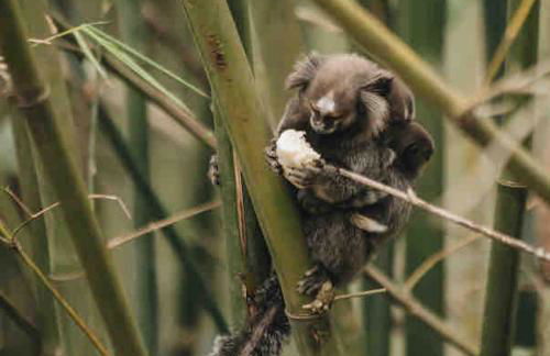 Casa Mundo Buzios - Foto 26