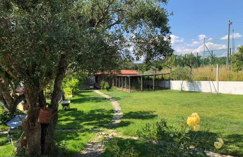 A Casa Amarela - Foto 18