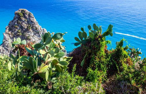 Le Villette - Foto 47