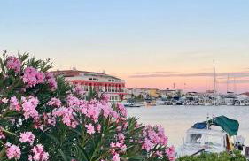 Apartments Adria - Foto 15