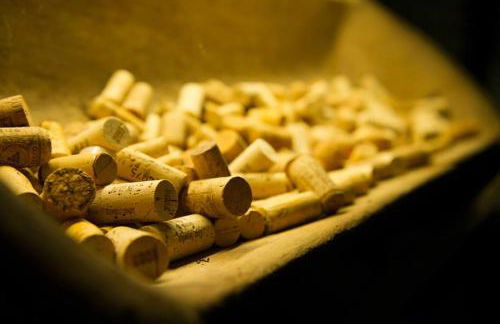 FeWo Kabine 21 / Zentral / Terrasse / Seilbahn Blick - Foto 22