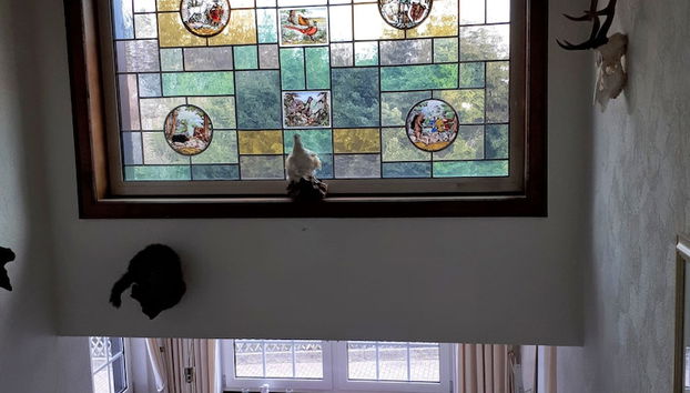 Zona de estar del vestíbulo