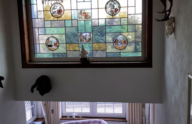 Landhaus Brockenblick - Foto 3