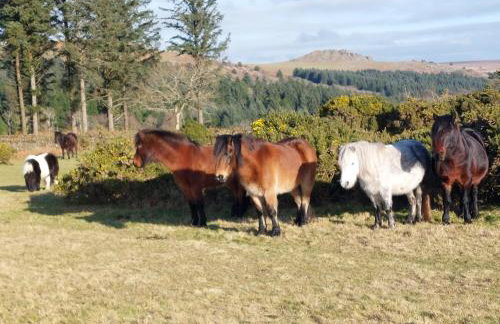 The Count House - Foto 50