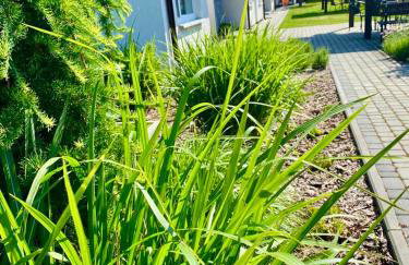 Zielone Zacisze - Foto 16