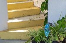 Holiday Home Drescher - Photo 8