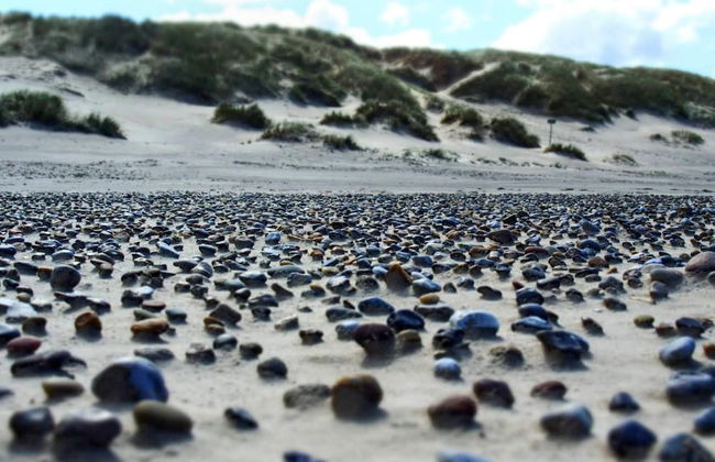 Spacious Retreat for 20 - By Traum Ferienwohnungen - Foto 17