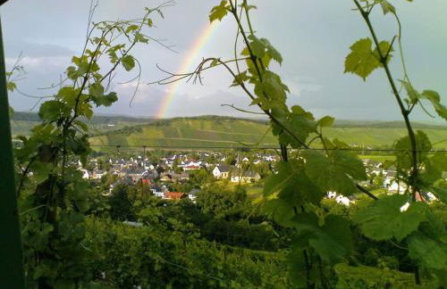 Mühlenhof - Riesling - Foto 24