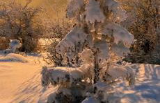 Le gîte de Vitazensel - Foto 34