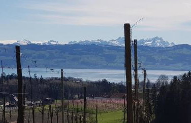 Alpenblick 3 - Photo 22