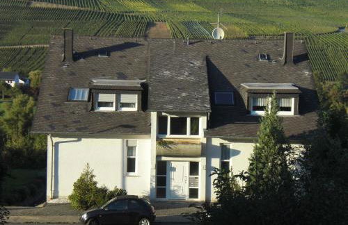 Bernkasteler Moselpanorama - Foto 9