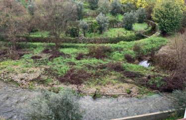 Casa do Cabecinho - Foto 9