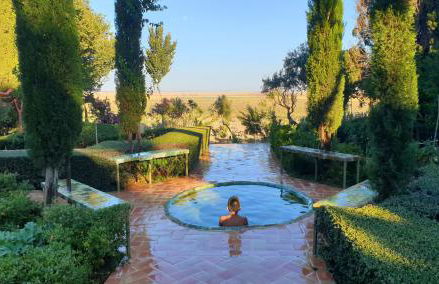 Cortijo El Triguero N-398 Ctra Carmona – El Viso del Alcor Km 18 - Foto 7