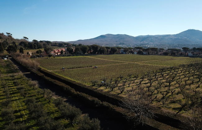 Villa Cavalletti - Foto 56