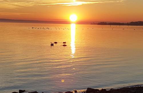 Wohnung Seerose - Foto 23