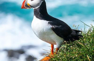 Appartement à côté du port de Ploumanac'h - Foto 13