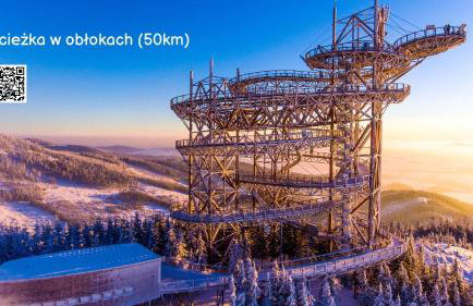 Willa Sowia nowy apartament z prywatnym tarasem i widokiem na góry - Foto 32