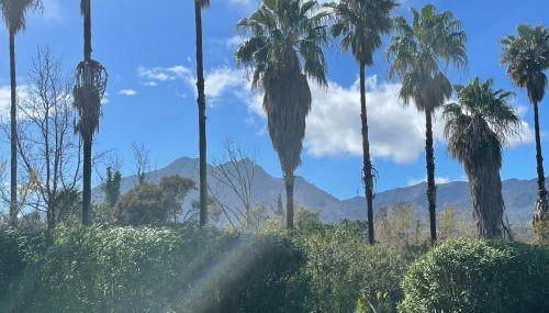 Corsica Poggio - Foto 2