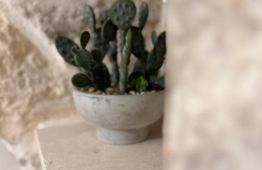 Siede la Terra - Trullo con piscina - Foto 20