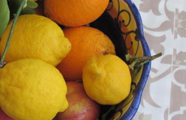 Casa Vacanze Il Libeccio - Foto 12