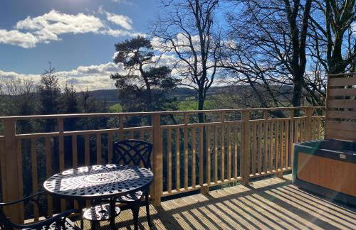 Chestnut Lodge with Hot Tub - Foto 9