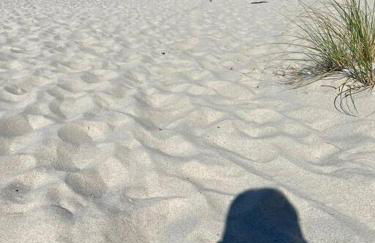 56Beachway-Private beach Refreshed in 2022 Cozy - Foto 9