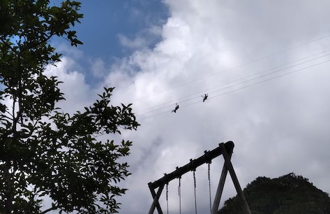 Paradise Resting Home - Photo 20