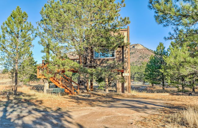 Tree Deer Blind - Foto 28