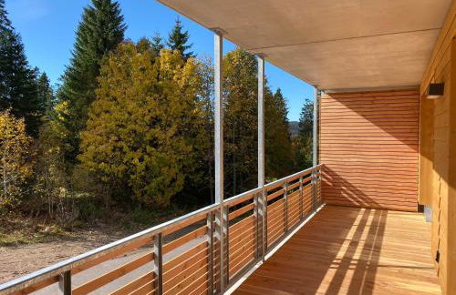 Wiesenquell Apartment Feldberg - Foto 14