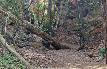 La Herbolera Vv Apartamento - Foto 45