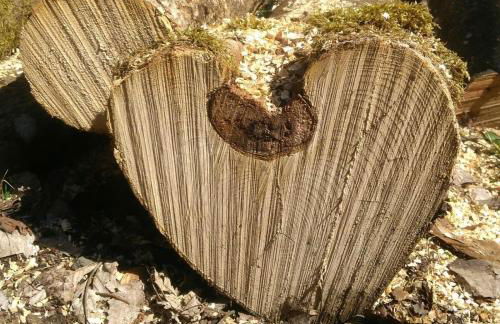 Ferientraum-am-Rothaarsteig - Foto 22