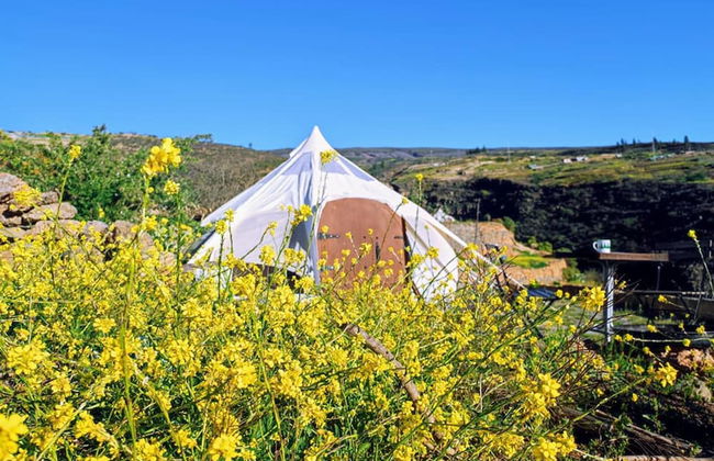 Unique Stargazing Escape With Ocean View - Foto 42