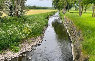 Luxury Croft Templepatrick Near Airport Rabbit and Hilton hotel - Foto 65
