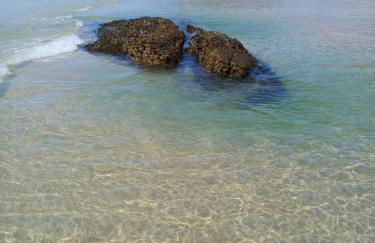 Stúdio Natureza S/A 1 - Photo 12