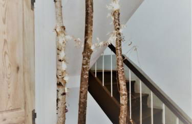 Villa Rosalía - Photo 16