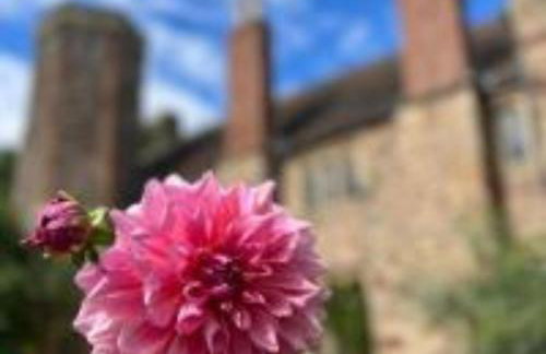 Tudor Romance- a historic manor house for holiday and corporate stays - Foto 51