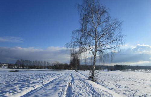 Gästehaus Aurelia - Foto 49
