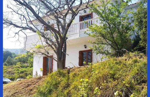 Kampos View Ikaria - Photo 39