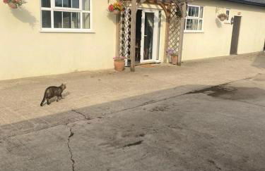 The Old Dairy - Foto 11