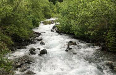 Gîtes du Grand Replomb - Foto 27