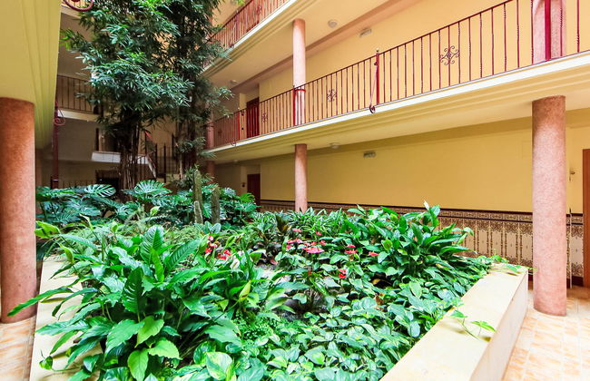 Playa Delicias - Foto 15