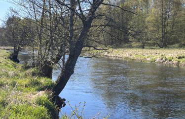 Smolniki Leśna Oaza - Foto 19