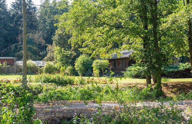 Pretty Holiday Home in Eschede Germany near Forest - Foto 30