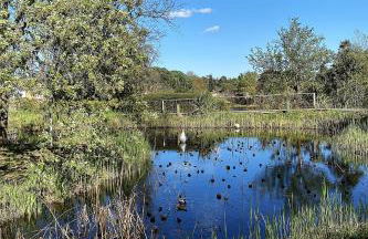 Les Bastides 30281 - Foto 28