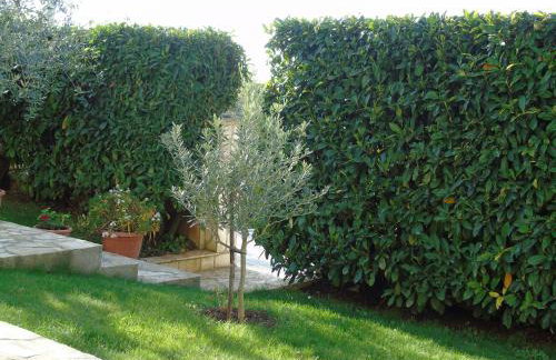 Apartment Karla - Foto 29