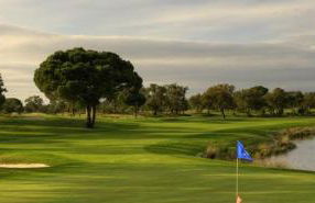 Casa Robusto - Foto 38