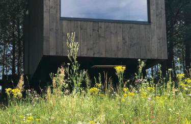 Na skraju gaju - Foto 4