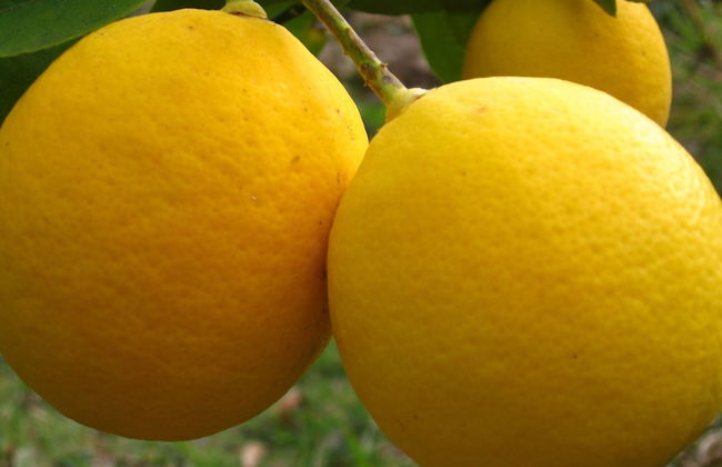 Seaside House 2 Double Bedrooms With Spectacular Mountain Sea View - Foto 15