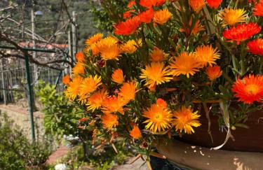 Rocca di Corno Guest House - Photo 8